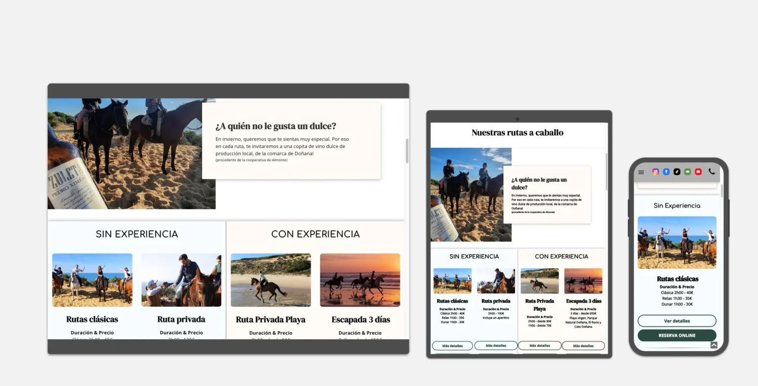 Diseño y confección de páginas web multilingüe, responsive y con SEO avanzado, realizado por Enclave Studio Digital.
