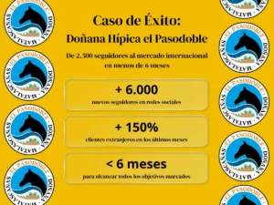 Caso de éxito: Doñana Hipica el Pasodoble en Matalascañas, Huelva. Servicios digitales para hacer crecer tu negocio | Enclave Studio Digital